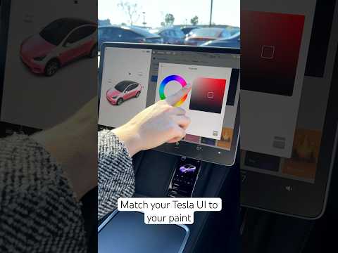 Tesla Car Colorizer