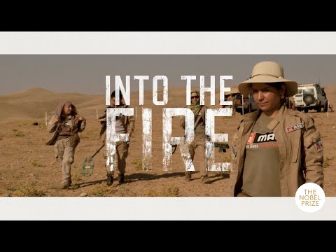Into the Fire'