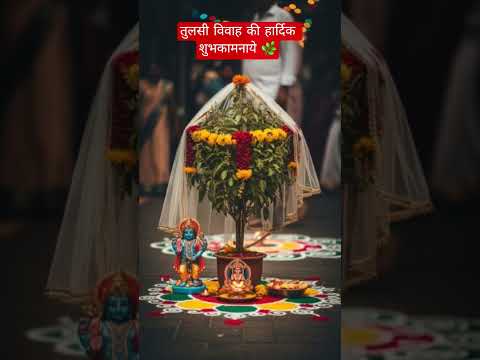 तुलसी विवाह की हार्दिक शुभकामनाये #bhaktishorts #shortsfeed