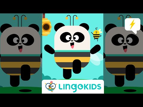 NEW #Lingokids Alliteration Song: Buzz to the Beat! #Shorts