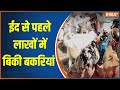 Bakra Eid 2024: Bakrid से पहले Goats का लगा बाजार, Lakhs के बिक रहे हैं Goat | #bakraeid2024