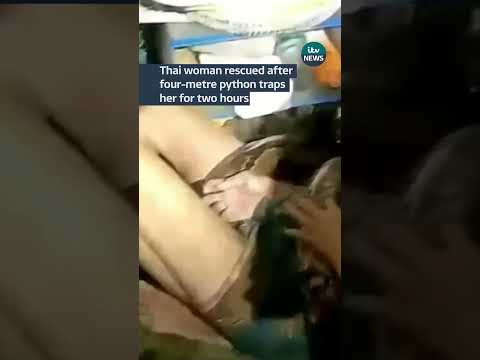 Thai women was rescued after being trapped by a four-metre python for two hours #itvnews #shorts