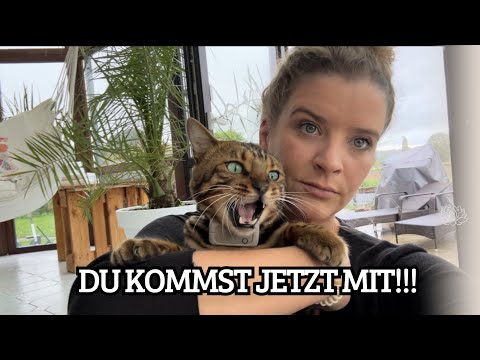 Du darfst kein neues Zuhause haben 😭