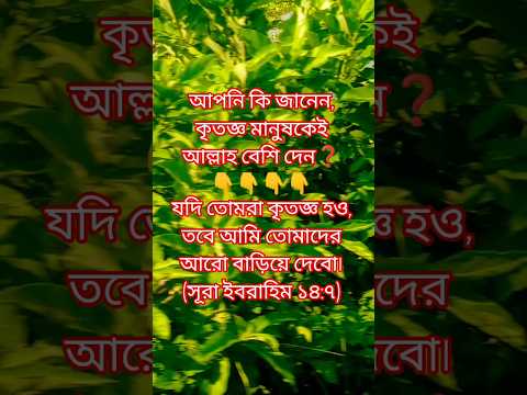 আপনি কি জানেন, কৃতজ্ঞ মানুষকেই আল্লাহ বেশি দেন❓ #motivation #islamicreminder #islamicquotes #ইসলাম