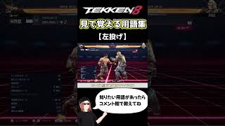 【鉄拳8】見て覚える用語集【左投げ】