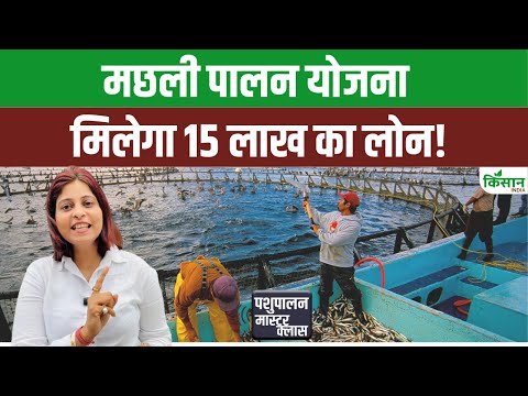 मछली पालन लोन योजना | Fish Farming Loan Scheme | l PMMSY Loan Scheme | जानें आवेदन करने का तरीका