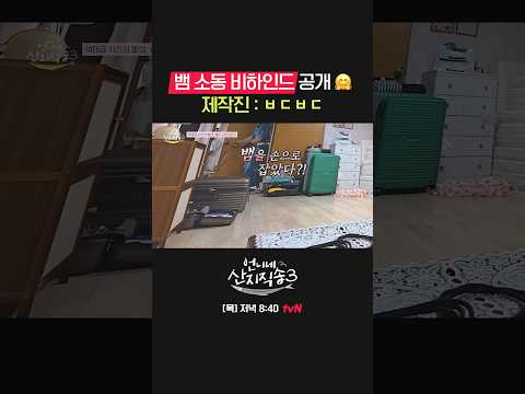 <strong>배우</strong> 넷이 작정한 역대급 깜짝 <strong>카메라</strong>🤣 #언니네산지직송3 EP.6