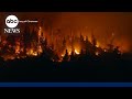 New film On Fire highlights wildfire survival ahead of fire prevention week