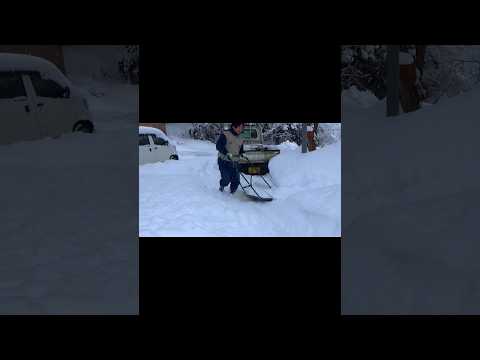 賽の除雪