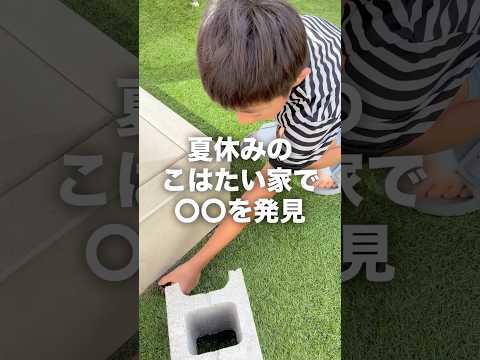 え？ヤバっ😳💦夏休みのお庭で初〇〇発見👀✨飼います！#shorts