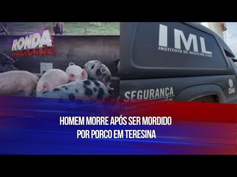 Homem morre após ser mordido por porco em Teresina