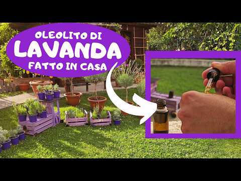 Come fare L'oleolito Di Lavanda Fatto In Casa