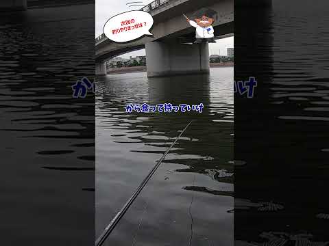 次回の釣りやりまっせは？　#shorts