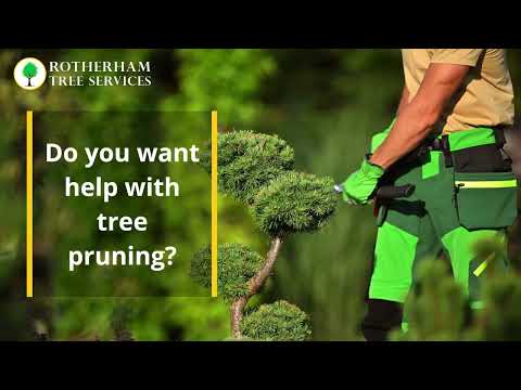 Rotherham Hedge Trimming