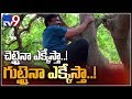 Gali Janardhan Reddy climbing a Mango tree went viral on social media