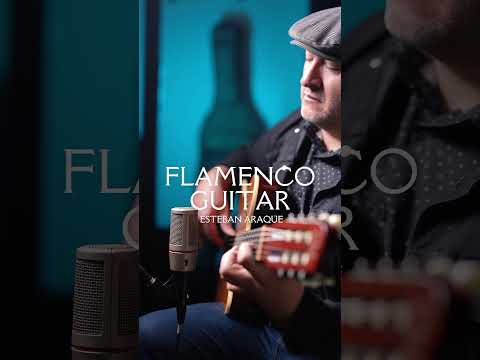 Flamenco Guitar #gipsy #guitar #flamencoguitar #godinguitars #musica #flamenco #flamenca #music