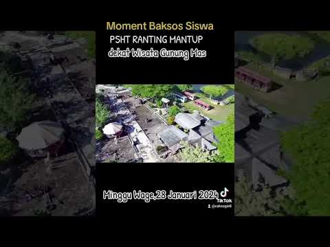 PSHT RANTING MANTUP BAKSOS DIMAKAM DESA TUgu #psht #pshtpusatmadiun #pshtlamongan #pshtjaya #1abad