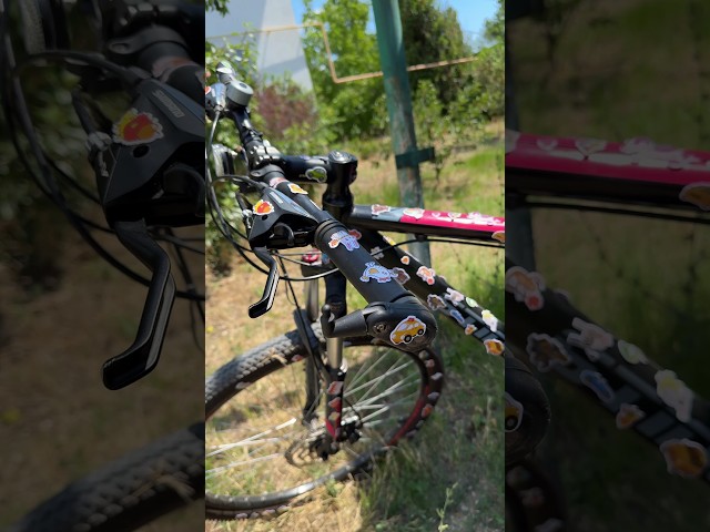 The SHOCKING Truth About DIY Tuning with Stickers