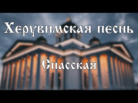 Херувимская песнь (Спасская) | хор Воскресенского собора г. Арзамас