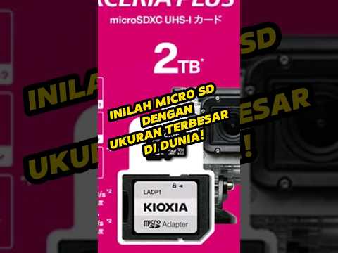 Micro SD dengan ukuran terbesar di Dunia!