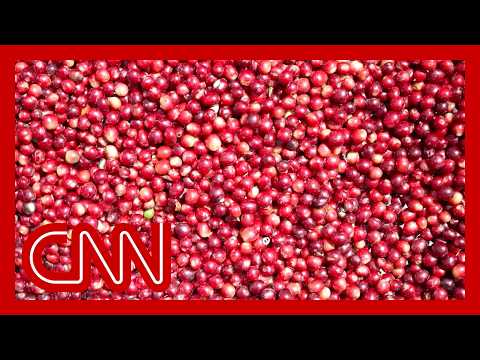 California farmers hope coffee tariffs will boost business