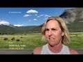 Yellowstone visitors hope to catch a glimpse of rare white buffalo  - 01:07 min - News - Video
