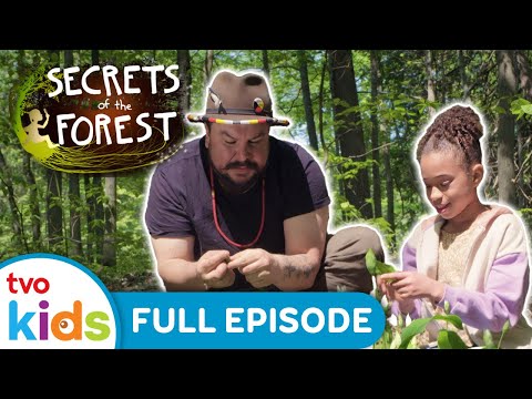 SECRETS OF THE FOREST - Foraged Feast 🌸👨‍🍳 NEW 2024 Show Season 1 Full Episode | TVOkids