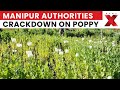 Manipur Police Expose 13 Hectares Illegal Poppy Cultivation Using Drones | NewsX