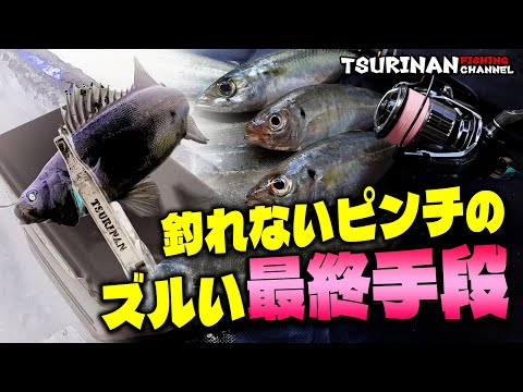 【欲望に負けた夜】ワームで釣れない魚にはズルい最終手段!秋のライトゲーム編