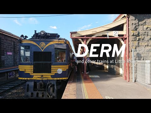 DERM and other trains at Little River | Polygon Transit