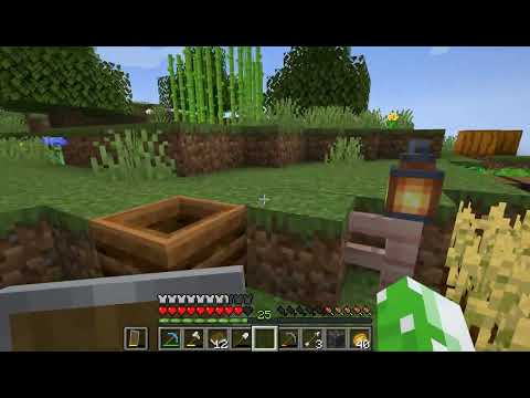 Minecraft play testing