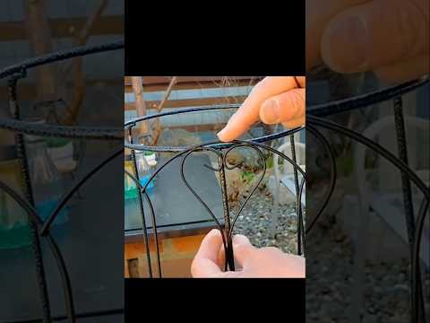 100均グッズで庭づくり