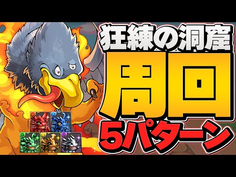 狂練の洞窟周回編成5パターン紹介！育成枠あり！ジャミラス,BLACKSUN編成！【パズドラ】