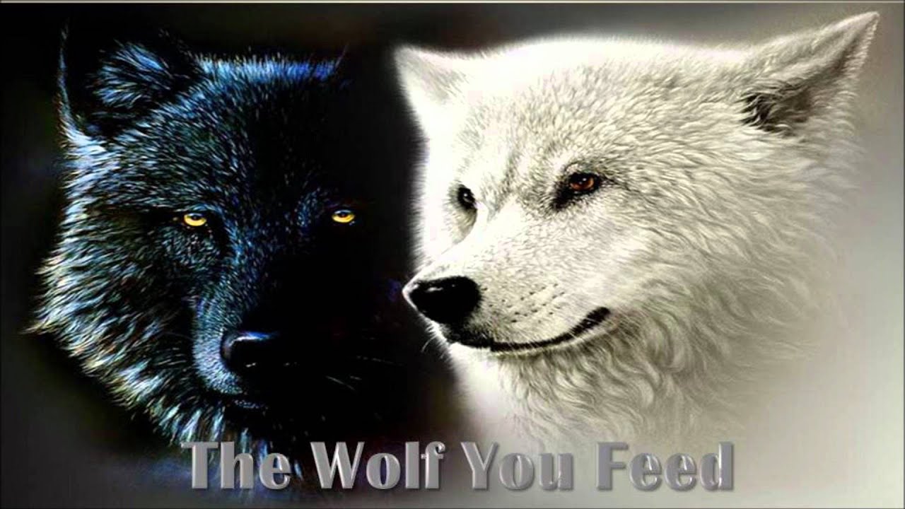 the-wolf-you-feed-youtube