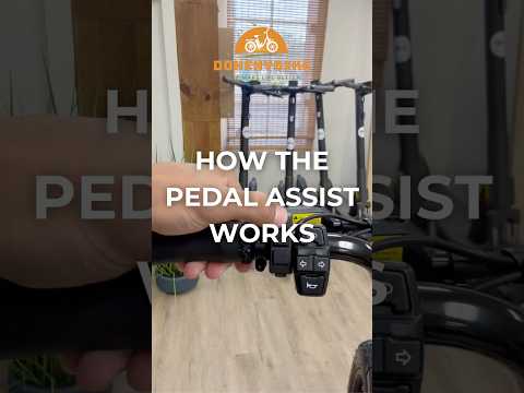 How The Pedal Assist Works on Our Doheny E-Bikes