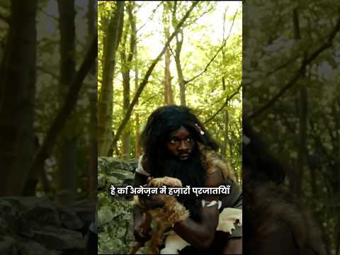 अमेज़न की हरियाली के गर्भ में छुपा वह शाश्वत रहस्य, जिसे समय भी उजागर करने से डरता है #amazon #facts