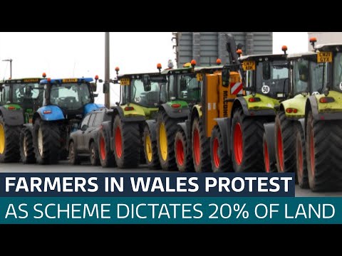 Thousands of farmers gather for Senedd protest in Cardiff | ITV News