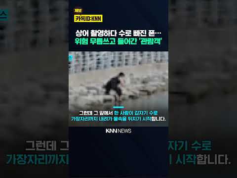 5분만 늦었어도 상어 만날 뻔…<strong>휴대전화</strong> 줍다 겪은 '아찔 순간' / KNN
