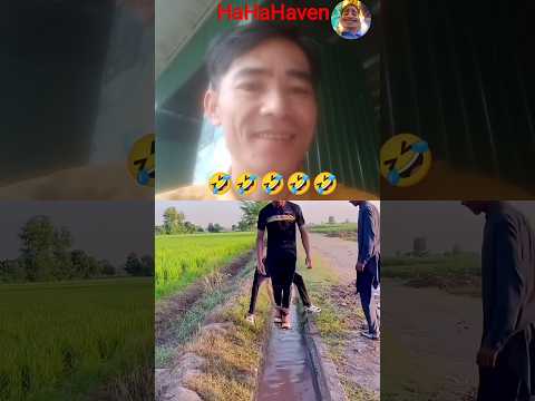 can't stand not laughing