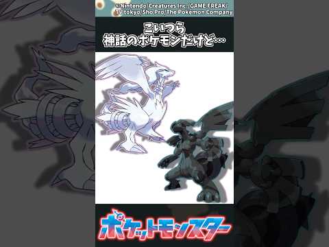ホビーの動画サムネイル - 【ポケモン】こいつら神話のポケモンだけど… #ポケモン #反応集