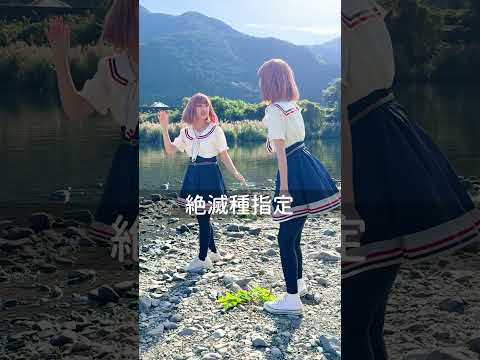 【第一話】かわうそを探しにいこう　ÒㅅÓ。)ﾉすさきすきキャラしんじょう君のストーリーだよー☆ #ショートドラマ