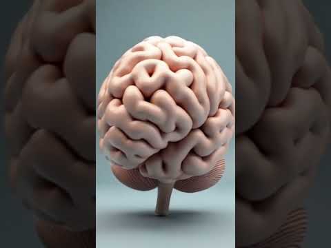 3D Cerebellum Brain anatomy #music #sad #oldies #dance #bollywood #danceanimation #anatomy #medical