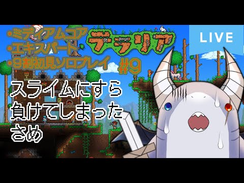 thumbnail_Tz6GjbWK_e4