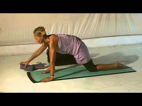 Sushumna Vinyasa Flow Yoga - Taster