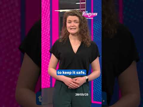 What is Run It Straight? | The Rundown #itvnews #runitstraight #rugby