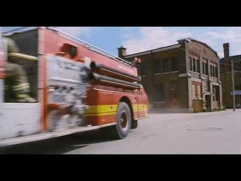 Firehouse Dog'