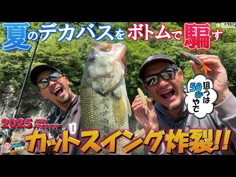 GoPro釣果便『カットスイング炸裂！！夏のデカバスをボトムで騙す』岡 友成／ゆたかボーイ