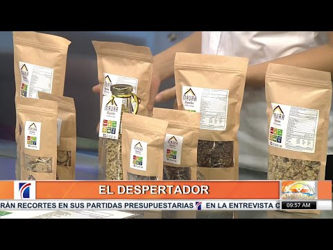 Conflé dominicano elaborado con ingredientes naturales