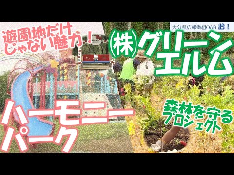 「お！」大分県広報番組（令和7年10月19日(日)放送分）