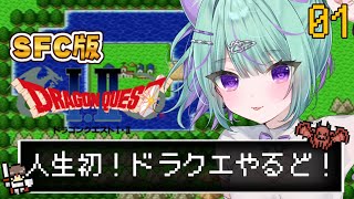 【SFC実機┋ドラクエ1】完全初見🌟ついにドラクエの世界へ行くど！【日向りま】